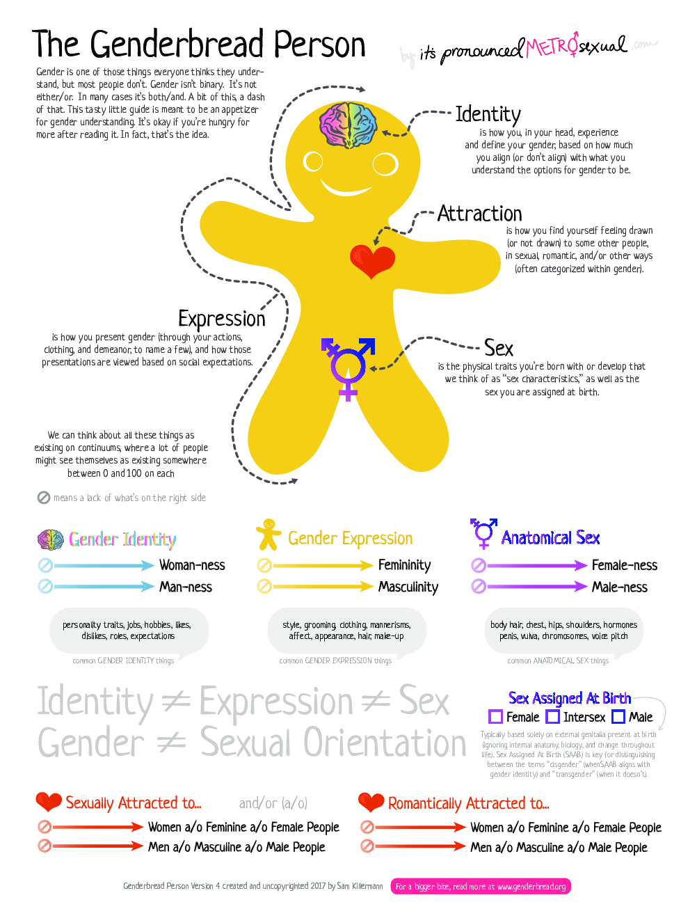 A picture of a gingerbread person with a brain marked identity,
a heart marked attraction, a body outline marked expression, and a transgender
symbol between the legs marked sex. There are sliding scales from null to
womanness and null to manness for each of these categories below the person.
